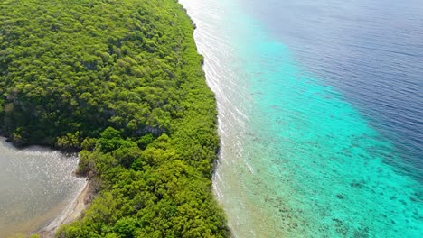 tropical caribbean coastline with mangroves up against vibrant clear light blue water to deep blue drop off, aerial