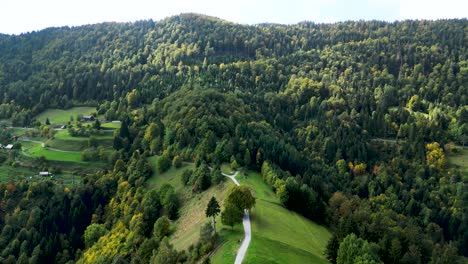 beautiful green scenery in slovenia mountain forest, aerial drone view