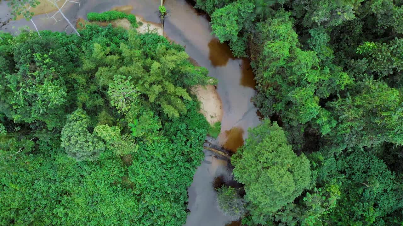 remote river in brazilian rainforest