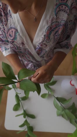 mujer que cuida de plantas de interior