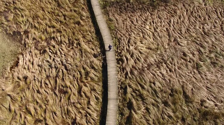 Birds eye view of a guy walking alone on a wooden pathway in a meadow in the fall