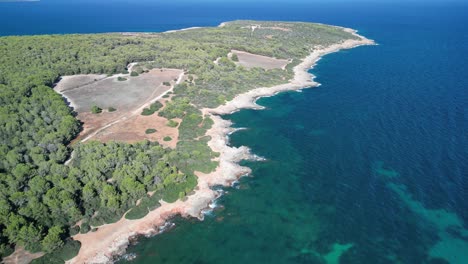 Atemberaubende-Luftaufnahme-Des-üppigen-Waldes-Im-Mittelmeer-In-Der-Nähe-Von-Sa-Coma-Auf-Mallorca,-Spanien