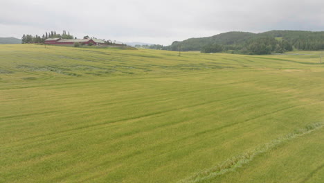 空中全景 常綠小麥農地附近