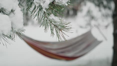 Close-up-of-hammock-with-snow-in-winter.