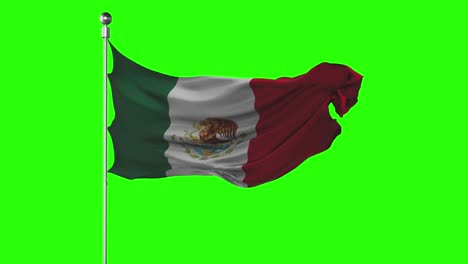 mexico national flag waving on green screen. chroma key animation. mexican politics illustration