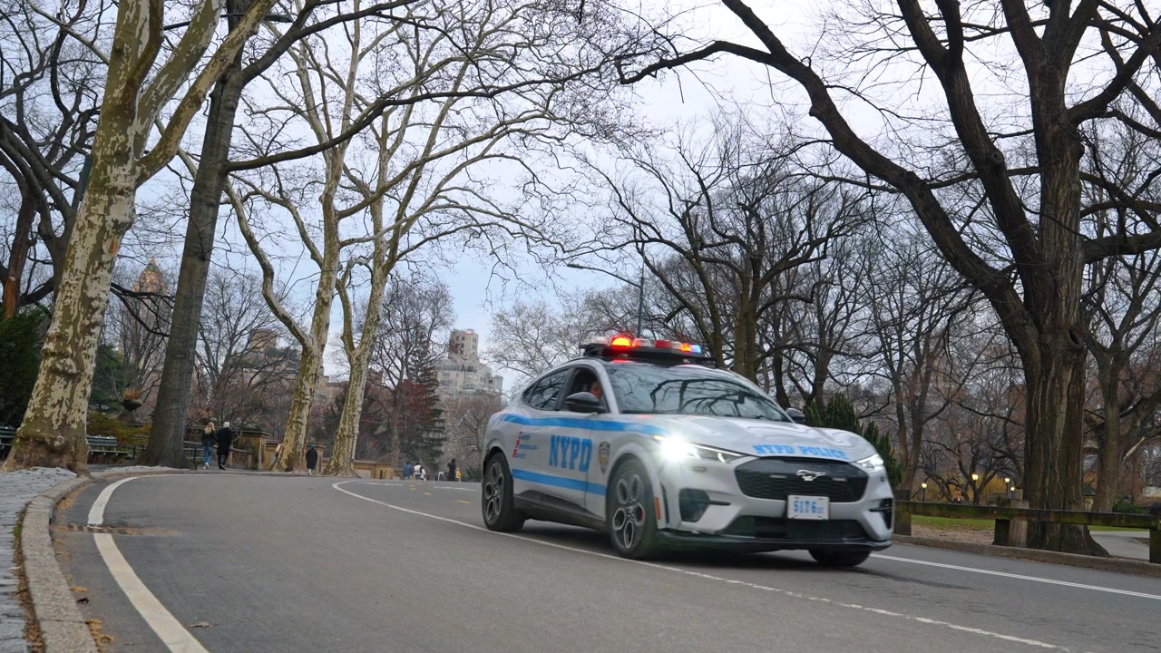 New York, USA, 24. März 2026: Polizeiauto patrouilliert auf Straße im Central Park Manhattan. Ein weiß-blauer Streifenwagen fährt auf einer kurvigen Asphaltstraße durch kahle Winterbäume in New York.