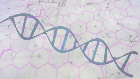 animación del procesamiento de datos sobre la cadena de adn