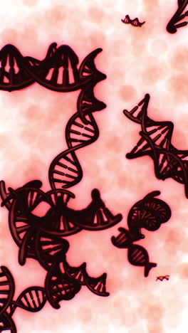 understanding the structure and function of dna in biological systems