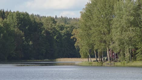 forest and lake shore woods landscape in jyväskylä, finland