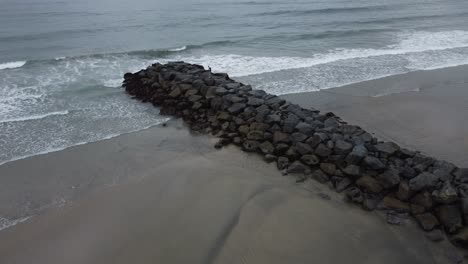 solo-mann erkundet den strand während eines wunderschönen sonnenaufgangs in kalifornien