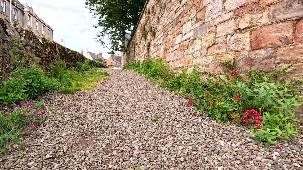 꽃과 역사적인 건물로 된 돌로 된 길