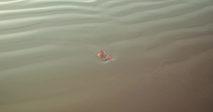 Small red object resting on rippled wet sand at low tide, surrounded by soft textures and minimal patterns. Abstract coastal detail suited for backgrounds, environment and conceptual visuals.