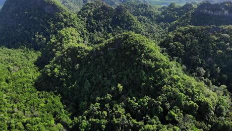 Vista-Aérea-Inclinada-Hacia-Abajo-Del-Pico-De-Una-Montaña-De-La-Selva-Tropical,-Langkawi,-Malasia
