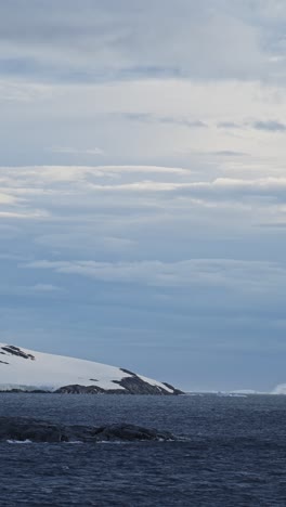 antarctica winter coastal landscape, cold snowy snow covered landscape on the coast of antarctic peninsula in vertical video for social media, instagram reels and tiktok