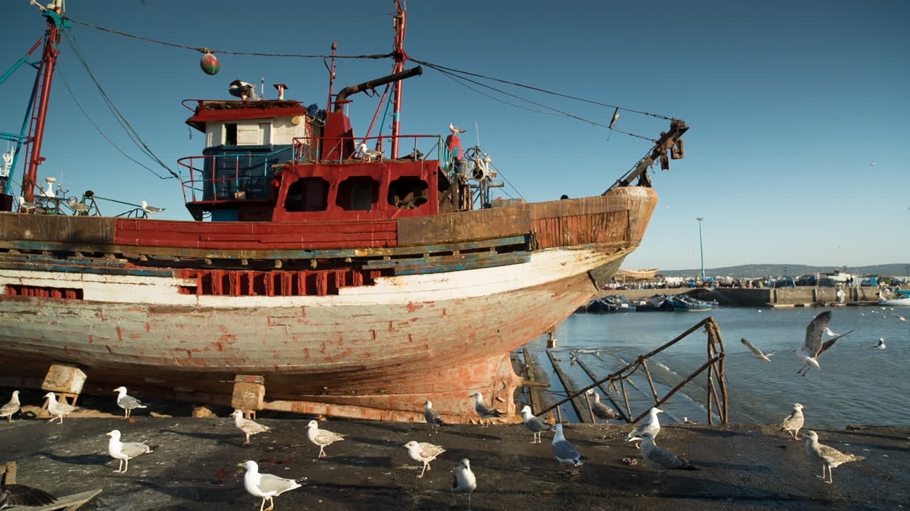 barcos de essaouira 15