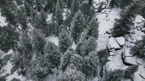 Mittwinter,-Langsamer-Filmischer-Zug,-Kalter-Winter,-Bergwald-Und-Felsen,-Immergrünes-Colorado