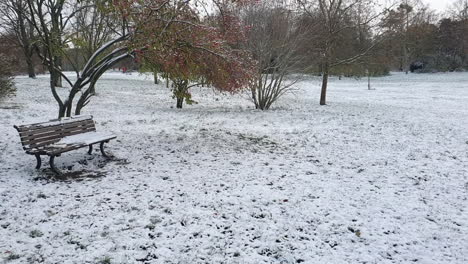 pan to the right on a park covered of snow berlin in wintertime in a park hasenheinde hd 30 fps 6 secs