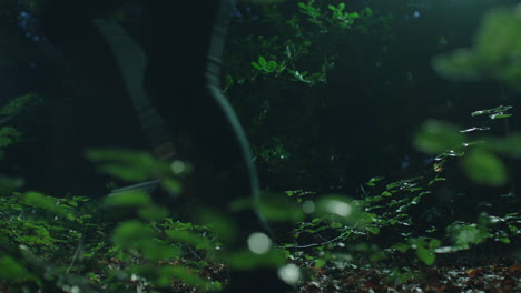 Close-up-of-woman-legs-running-through-dark-and-scary-forest-at-night---running-past-camera