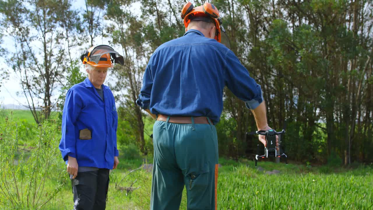 숲에서 드론을 붙잡고 있는 나무 ⁇  4k