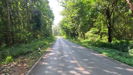 traveling through a winding forest road