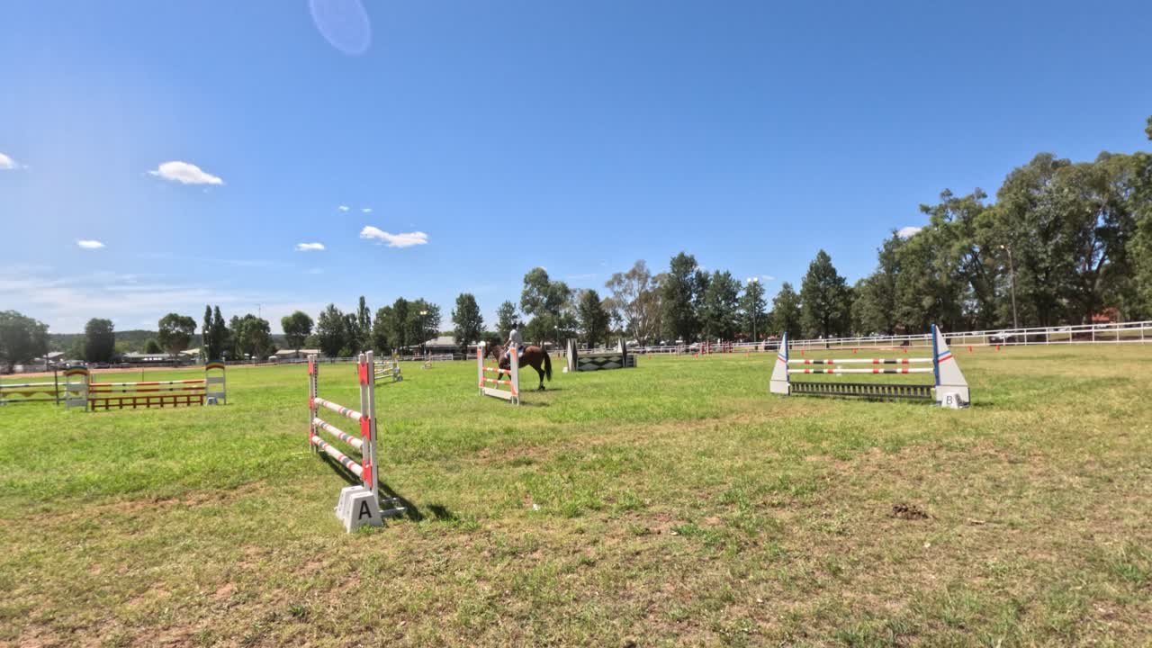 caballo y jinete saltando sobre obstáculos