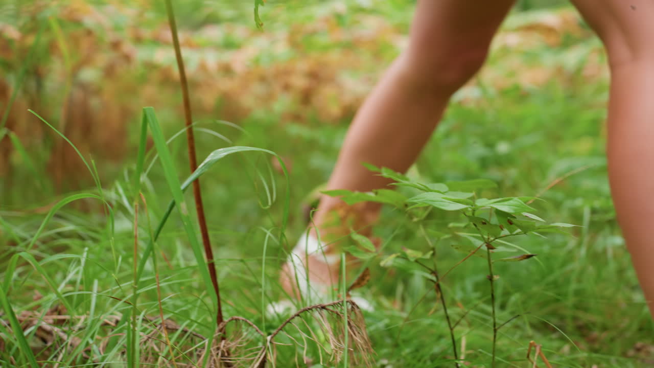 Close up of vibrant green and golden ferns in forest foreground with blurred motion of female legs in white sandals walking behind, evoking peacefulness and presence of nature spirit on path
