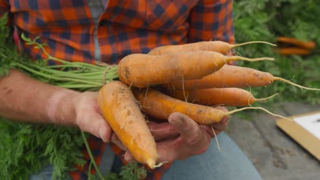 mature man working on farm