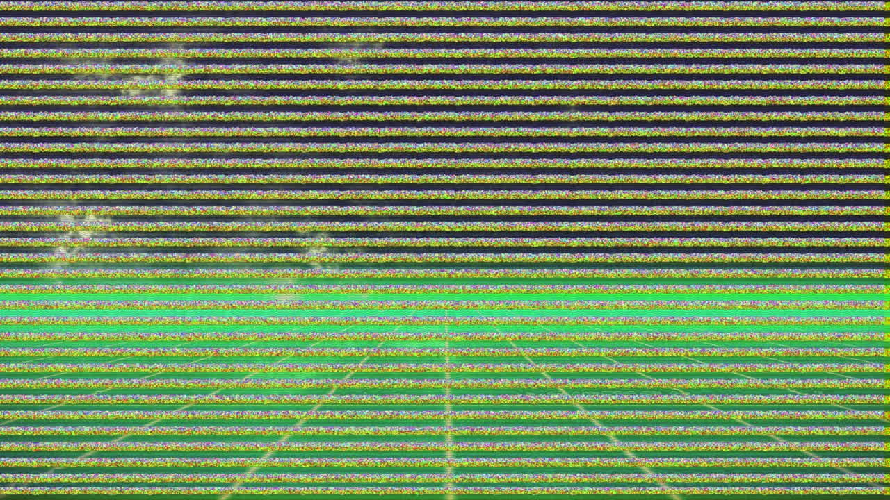 Animation of glitch interference over neon lines on black background