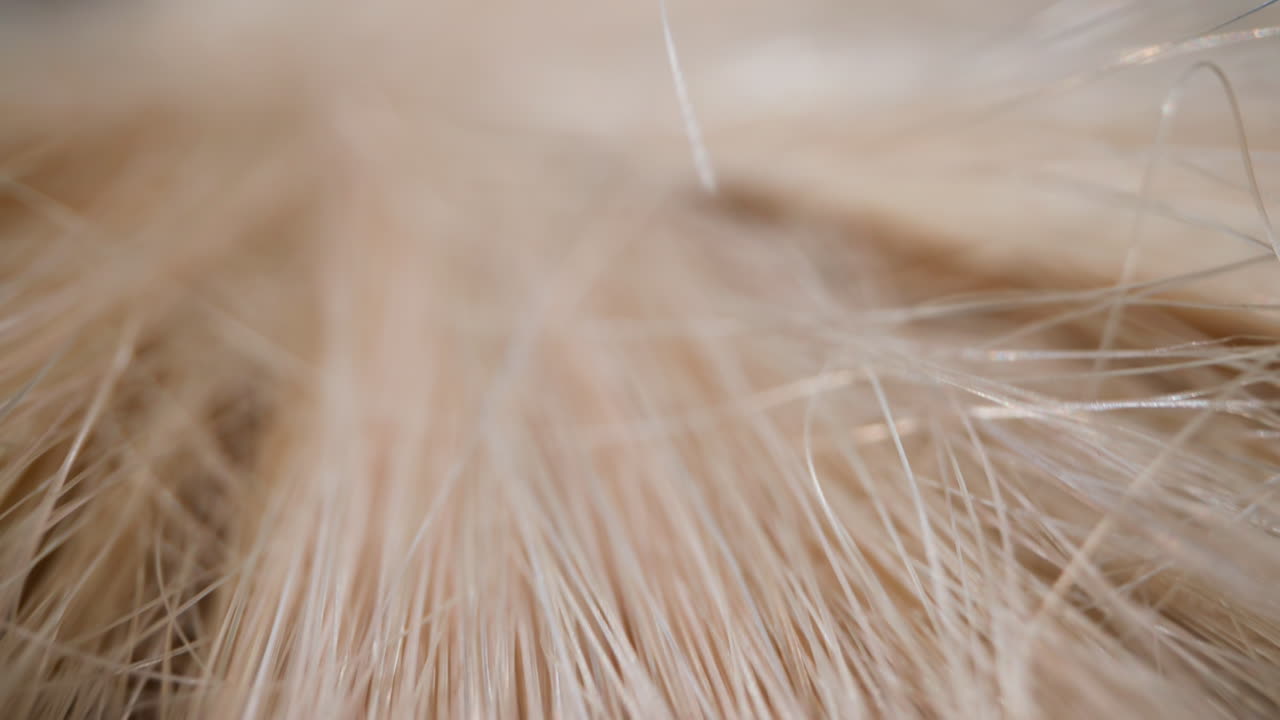 material plástico desordenado pisos textura como macro de fondo