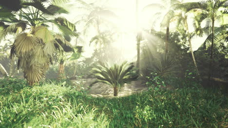 lush tropical forest with sunlight filtering through dense foliage
