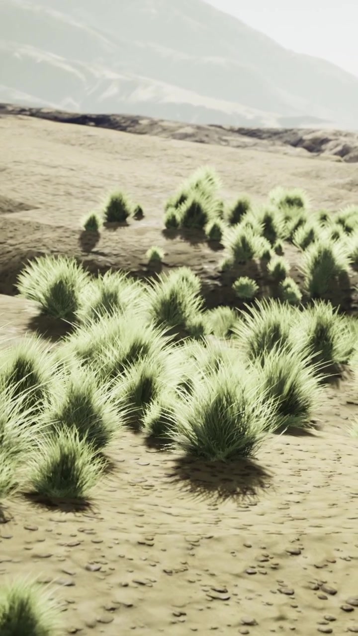 Matas de hierba verde crecen en una zona arenosa con montañas al fondo.