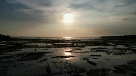 Sea-field-with-Red-Algae-plantation-in-evening-time