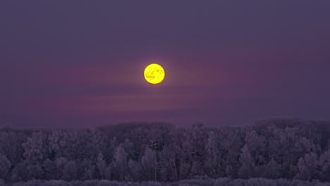 The-full-moon-rises-above-the-winter-forest-with-the-trees-covered-with-snow-and-frost---time-lapse