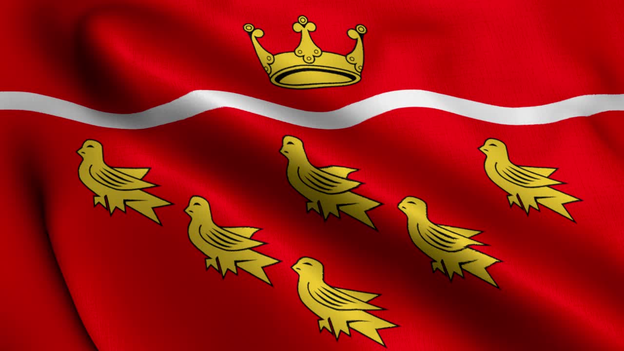 East Sussex City Flag