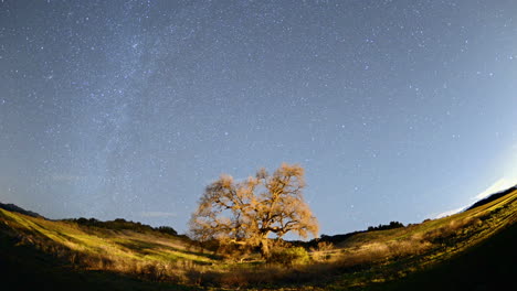 night time lapse of star trails and clouds over a valley oak tree near ojai california