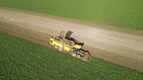 Luftaufnahme-Einer-Gelben-Rübenerntemaschine-Auf-Einem-Gestreiften-Feld