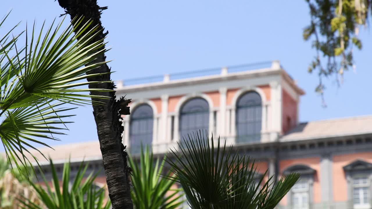 пальмовые деревья колеблются возле исторического здания неаполя