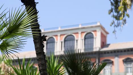 palm trees sway near historic naples building