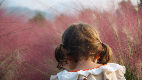 portrait of little girl toddler with pigtails hides in pink muhly grass or muhlenbergia capillaris at sunset - shallow focus