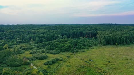 green nature drone shot with forest. aerial view of rural area with fields and forests
