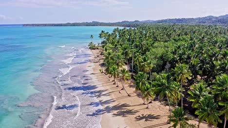 Aerial-view-of-tropical-coastline-with-palm-tree-plantation,-golden-beach-and-turquoise-water-of-Ocean-lighting-in-sun