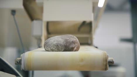 bread on conveyor belt in a bakery