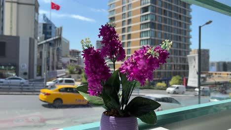 lilac flower blurred background with cars passing by on a terrace in istanbul