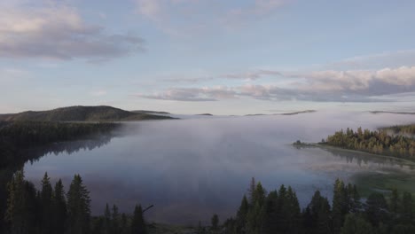 scandinavian forest landscape reflections in tranquil misty lake below morning skies drone
