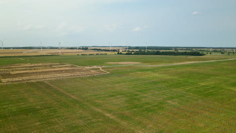 Weites-Grünes-Feld-Reserviert-Für-Solarpark-In-Zwartowo,-Polen-Mit-Windturbinen-Im-Hintergrund