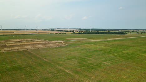 wide green field reserved for solar farm in zwartowo, poland with wind turbines in background
