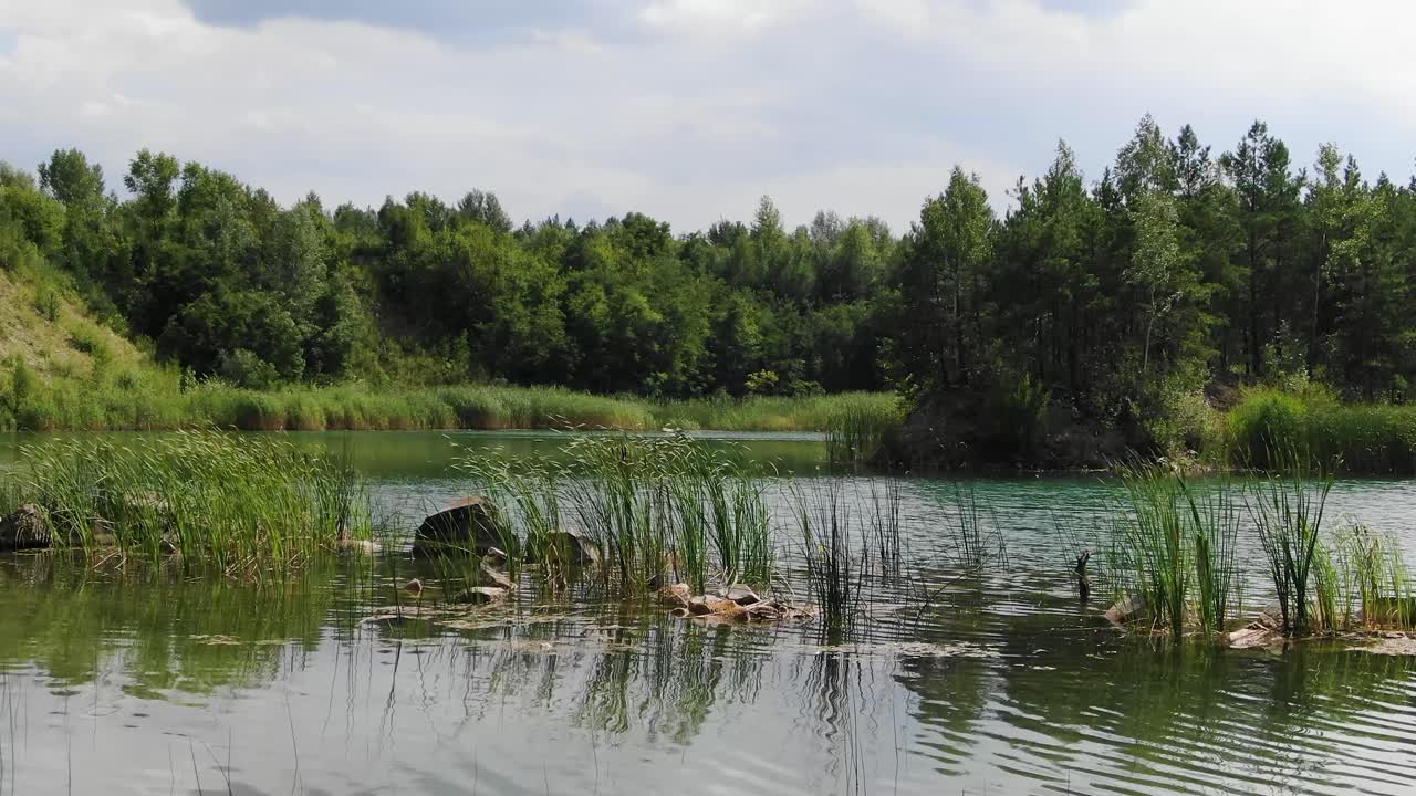 Nízký statický záběr klidného letního jezera s trávou v popředí, obklopeného lesem.