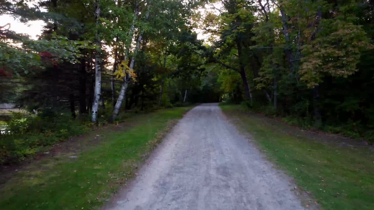 Una panoramica in avvicinamento di una strada sterrata in autunno