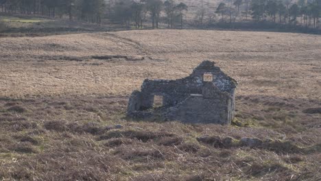 old and abandoned irish farmer house made of cobblestone in the field of wicklow mountains in ireland