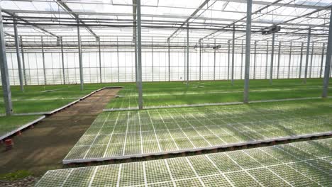 crops thriving in compact plots: dutch greenhouse technology with iron and glass nurturing, perspective area plan